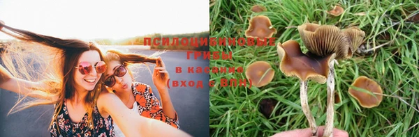 мескалин Алзамай